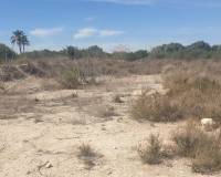Venta - Terreno - Benferri - HUERTA PUEBLO