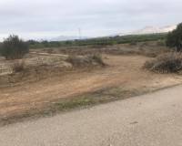 Venta - Terreno - Benferri - HUERTA PUEBLO