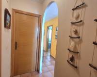 Venta -  - Torrevieja - Acequion
