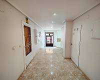 Venta -  - Torrevieja - Antonio Machado