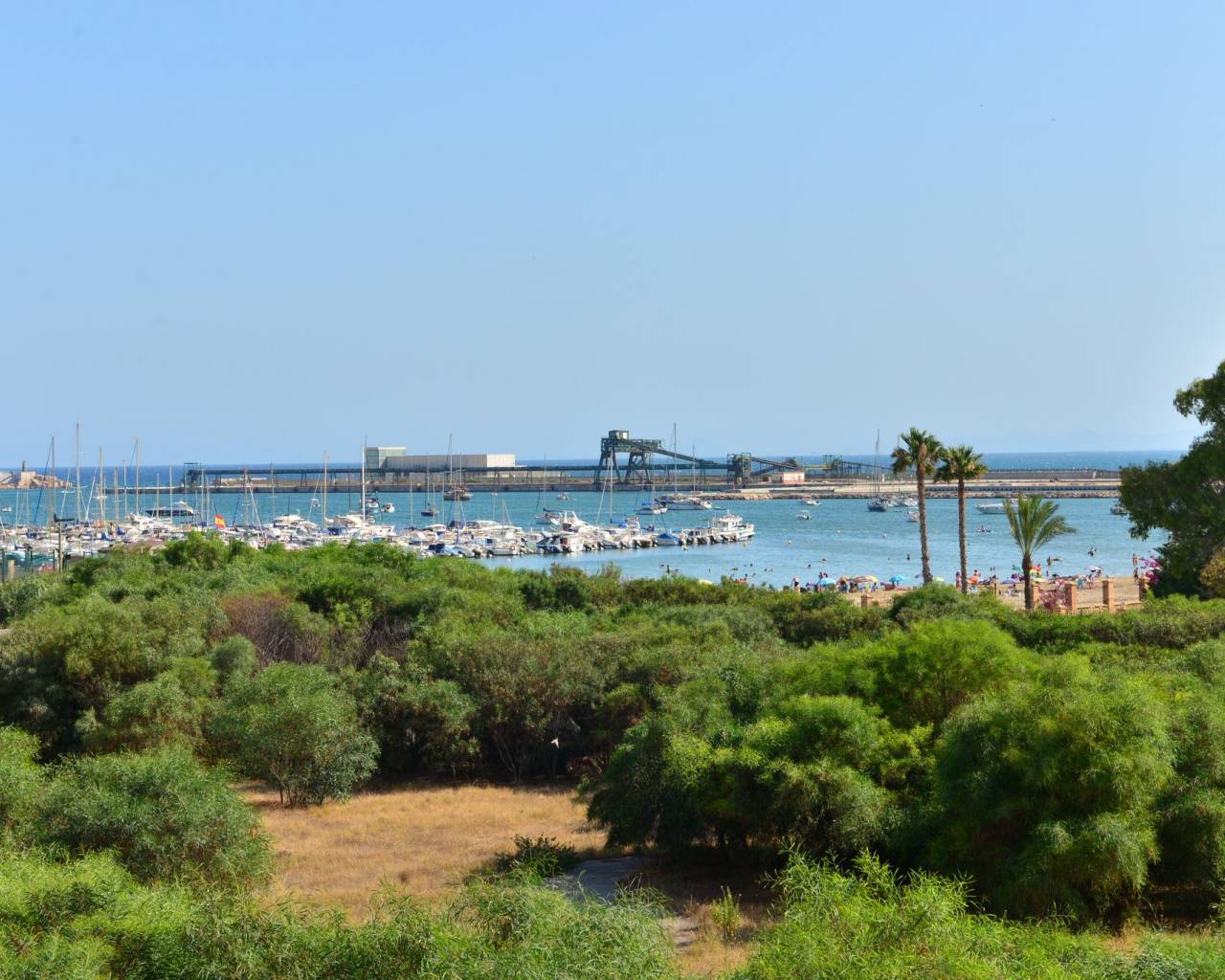  - Venta - Torrevieja - Torrevieja