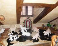 Venta - Town house - Daya Nueva