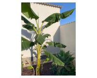 Venta - Villa / Detached - Ciudad Quesada - Quesada Center