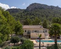 Venta - Villa independiente - La Zarza