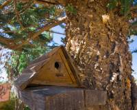 Venta - villa - La Siesta - El Salado - Torreta - La Siesta