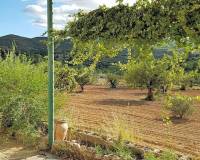 Venta - villa - Macastre