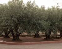 Venta - villa - Onda