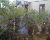 Venta - villa - Palma De Gandía