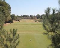 Venta - villa - Pilar de la Horadada