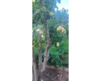 Venta - villa - Rojales - Ciudad Quesada