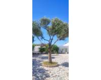 Venta - villa - Rojales - Ciudad Quesada