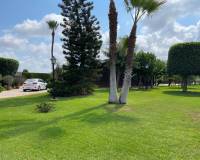 Venta - villa - San Fulgencio - La Marina
