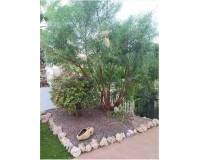 Venta - villa - San Miguel de Salinas