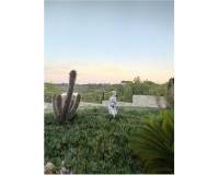 Venta - villa - San Miguel de Salinas