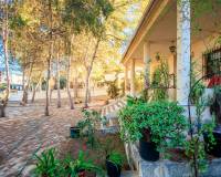 Venta - villa - Torrevieja - Los balcones