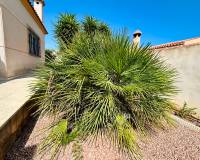 Venta - - VILLA - Torrevieja - Urbanización San Luis