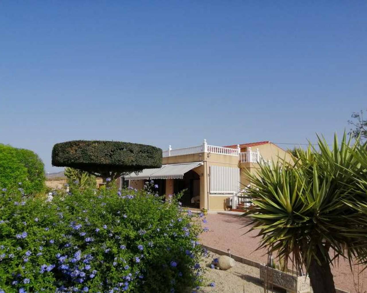 Villa Indépendante - Resale - Albatera - Albatera