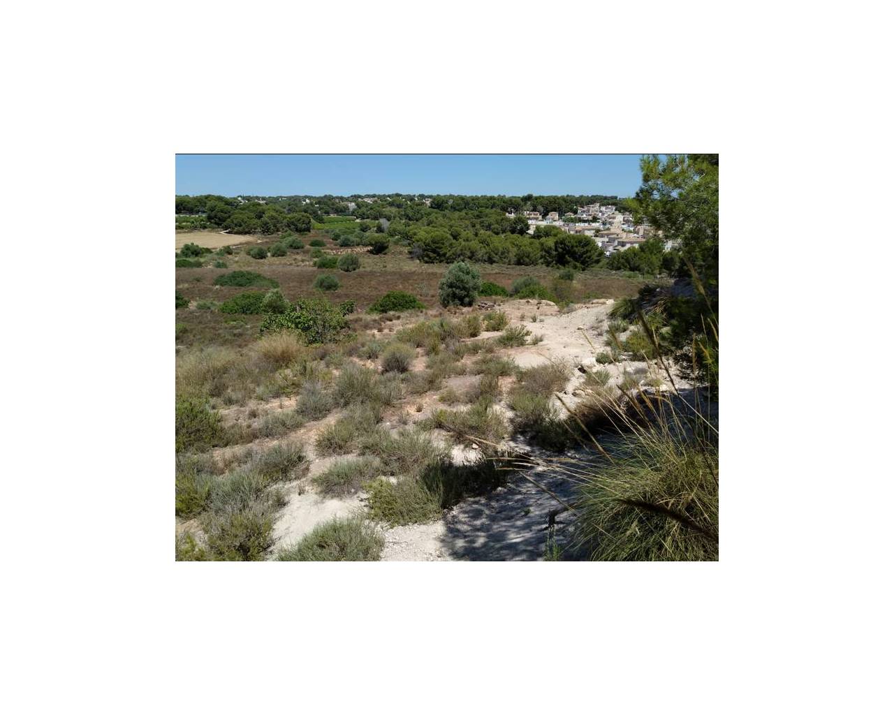 Wohnung - Resale - Pinar de Campoverde - Pinar de Campoverde